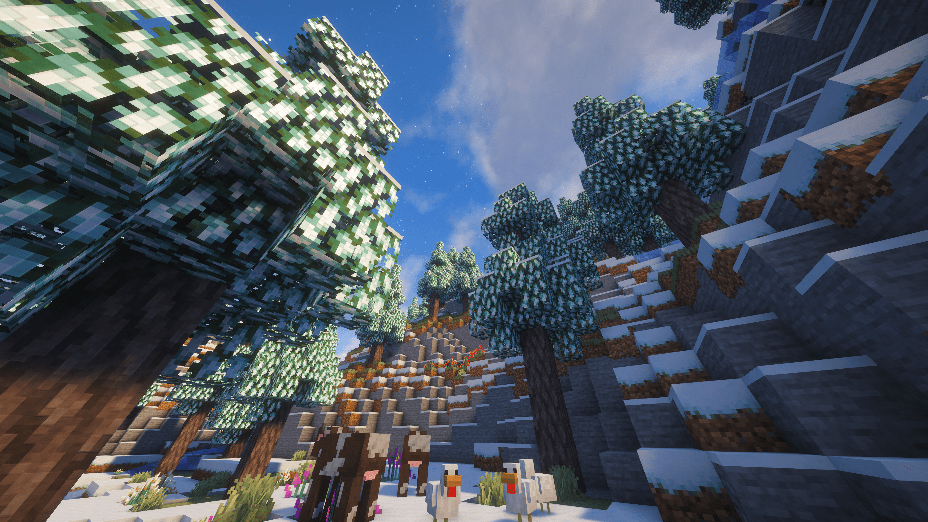 Snowy Fir Forest