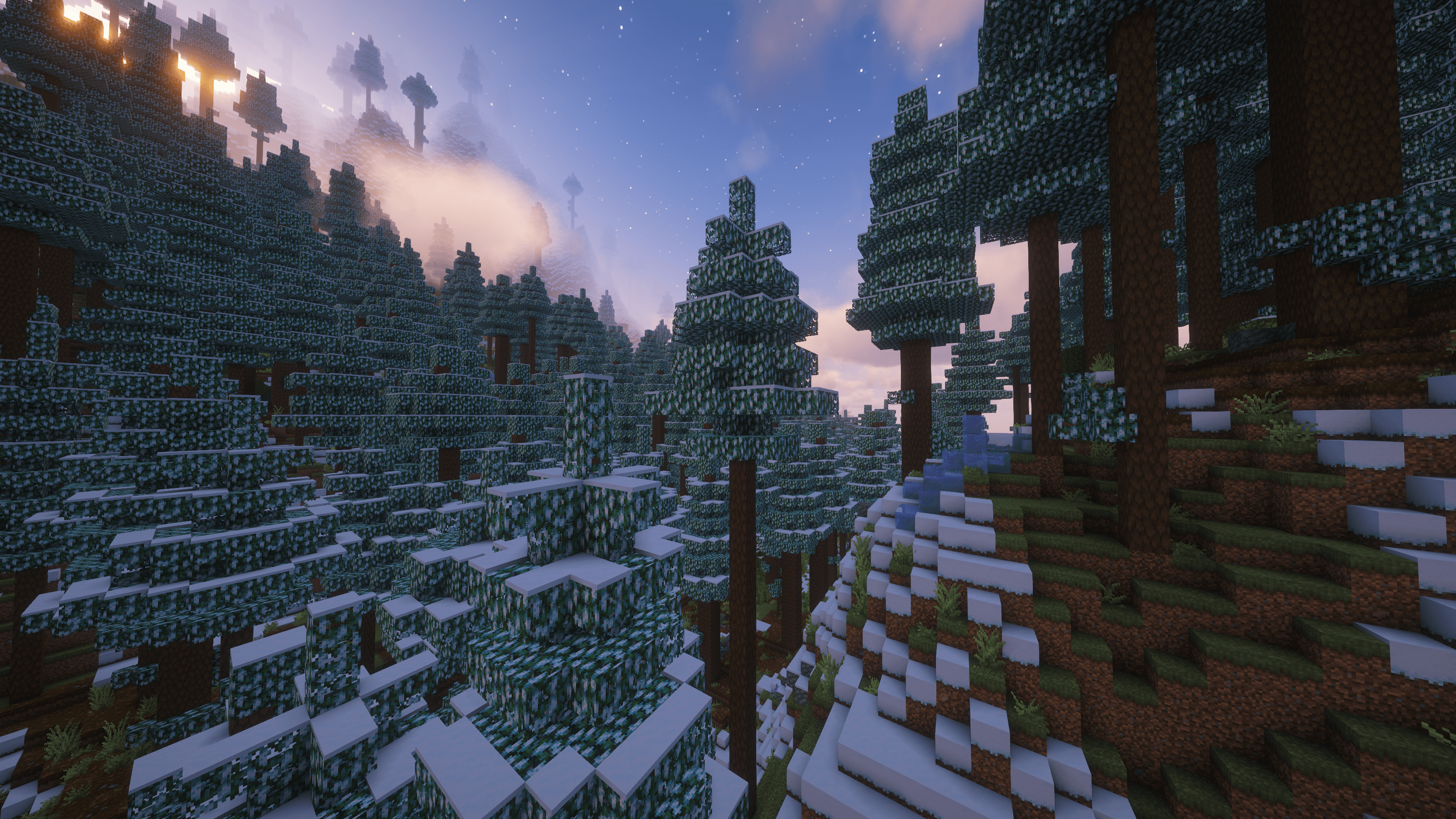 Snowy Redwood Forest