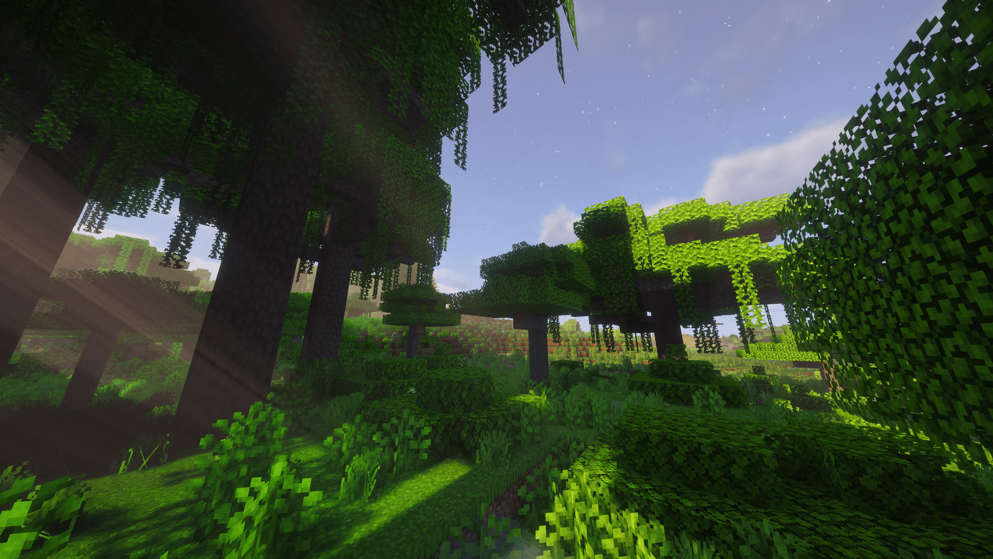Sparse Tropical Woods