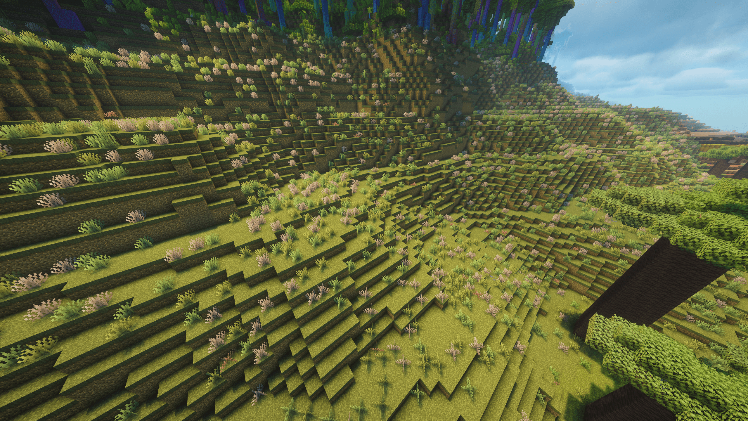 Steppe