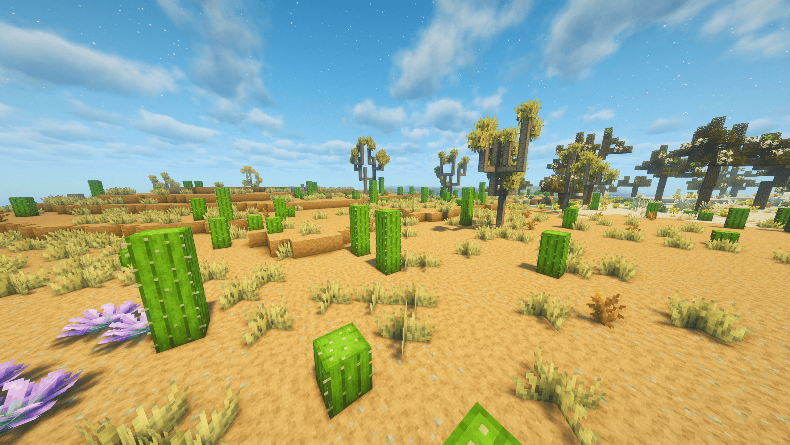Stratified Desert