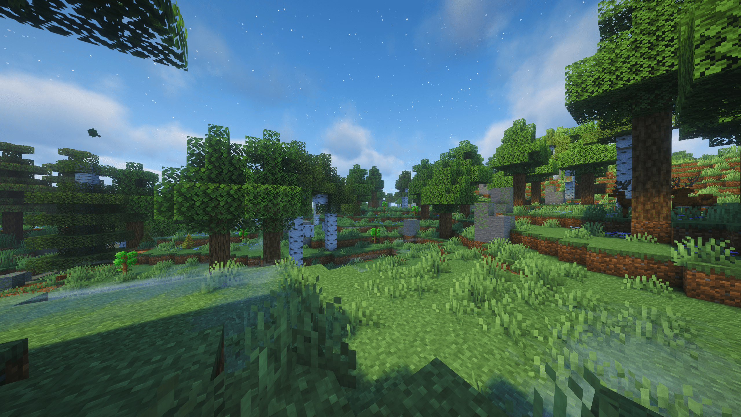 Temperate Grove