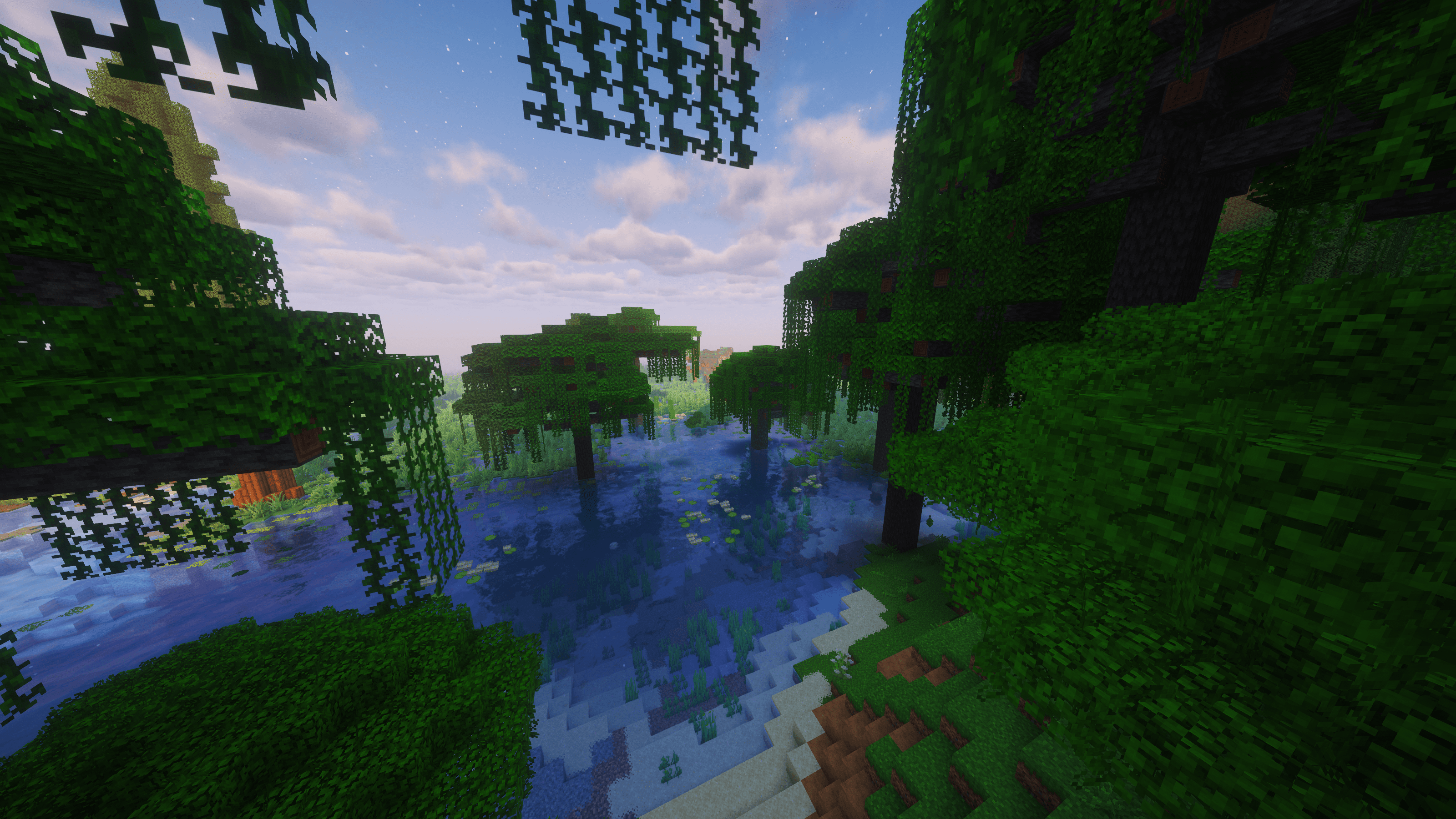 Tropical Basin
