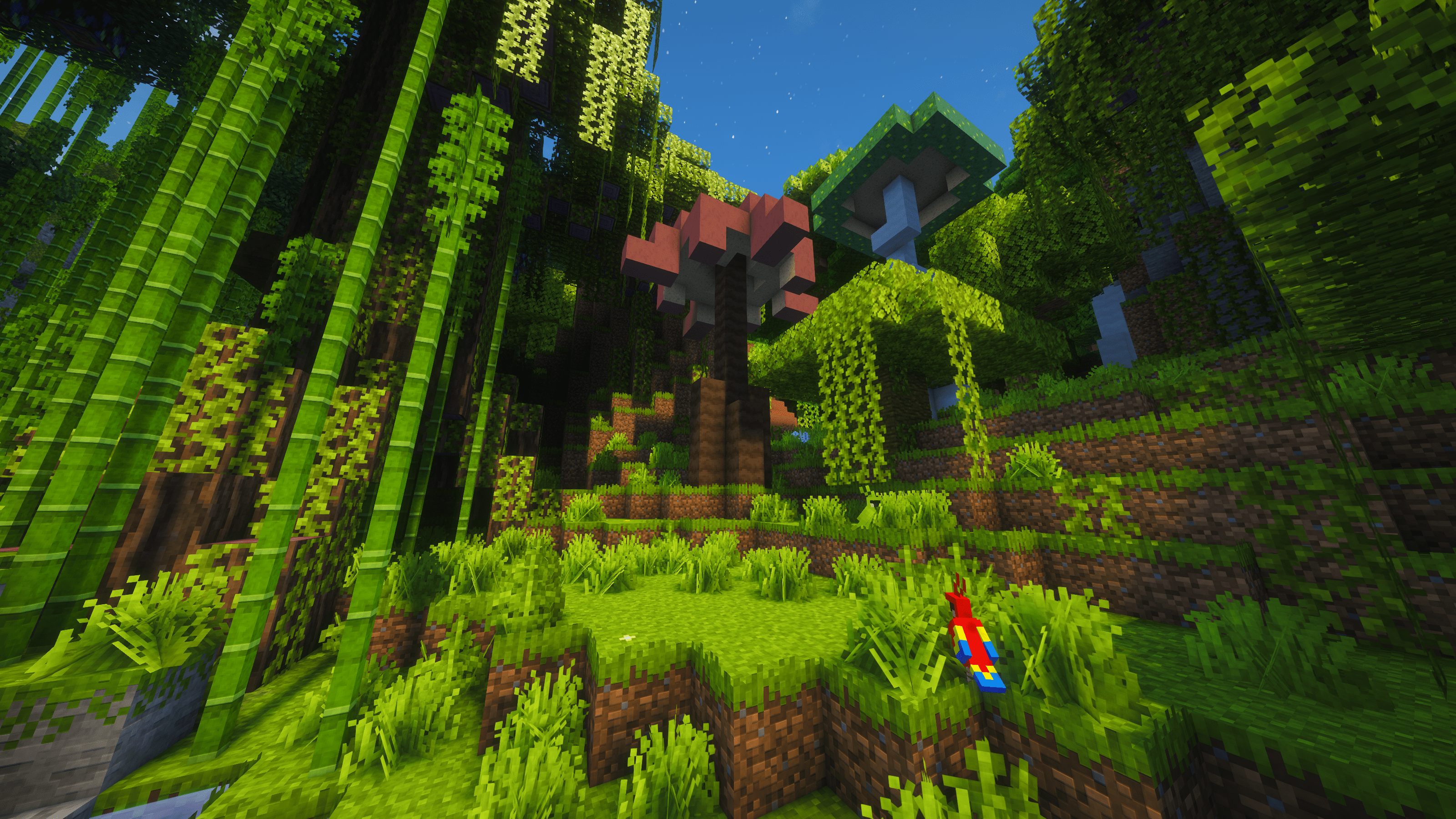 Tropical Rainforest