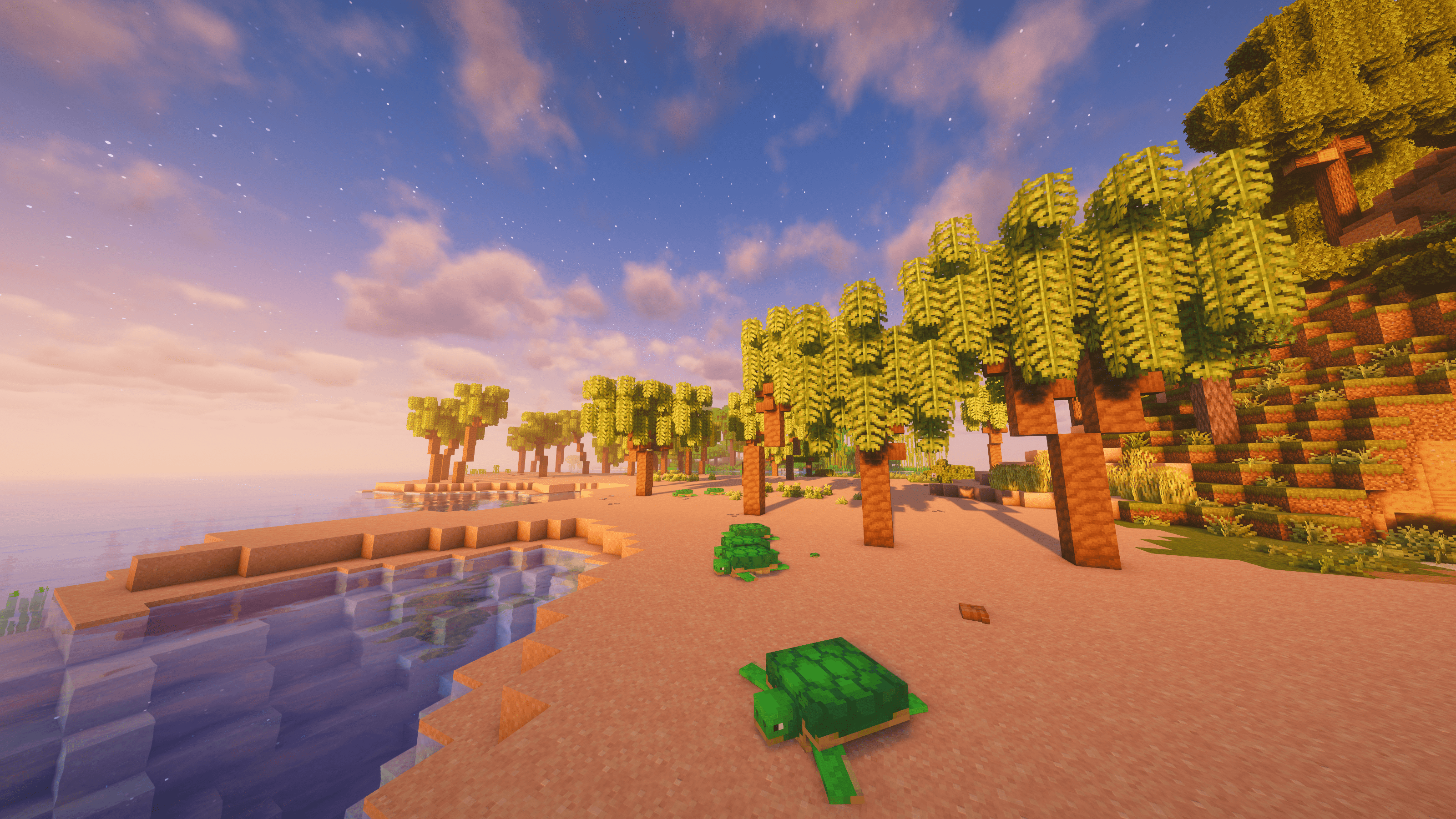 Tropical Shores