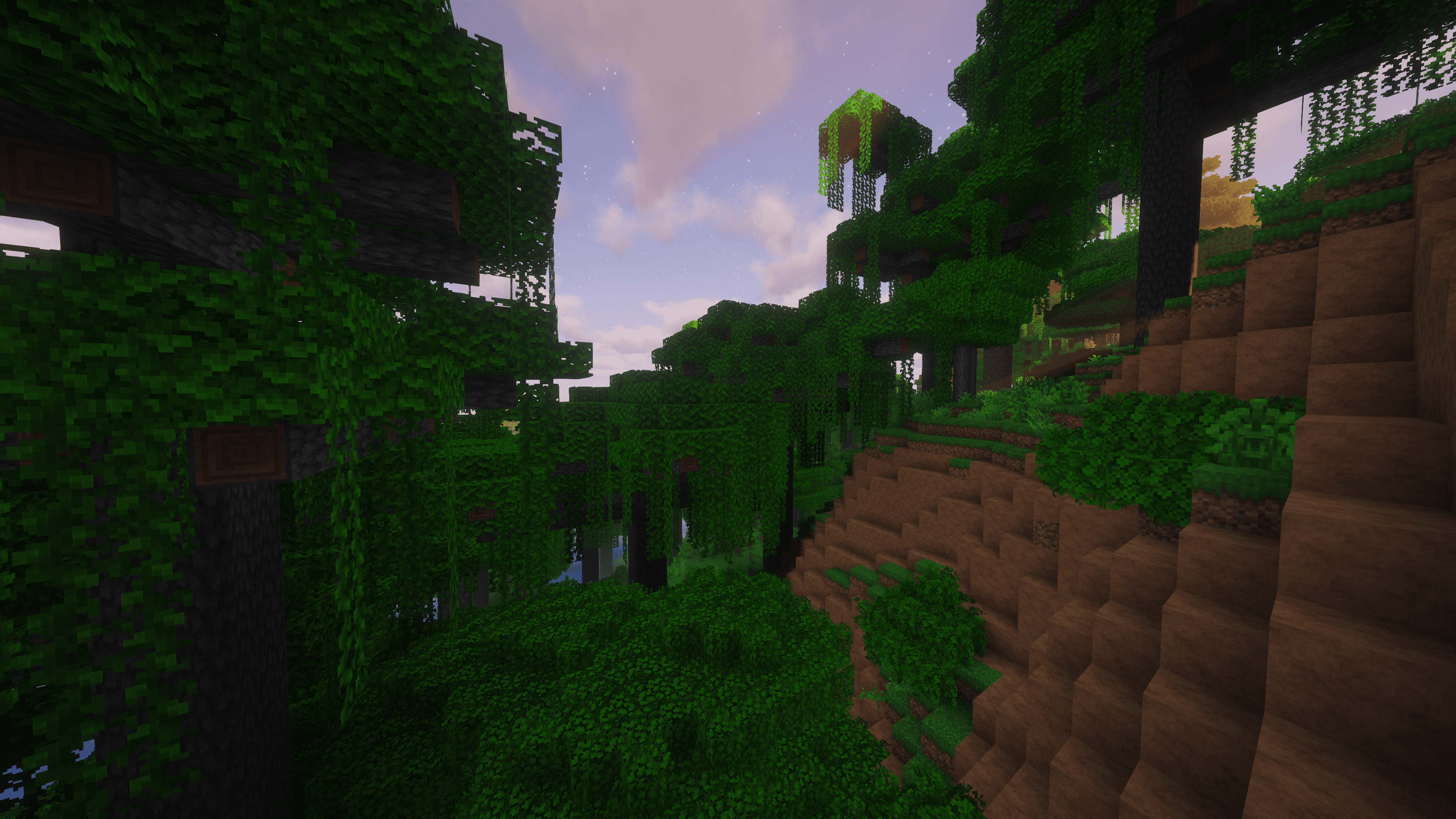 Tropical Woods