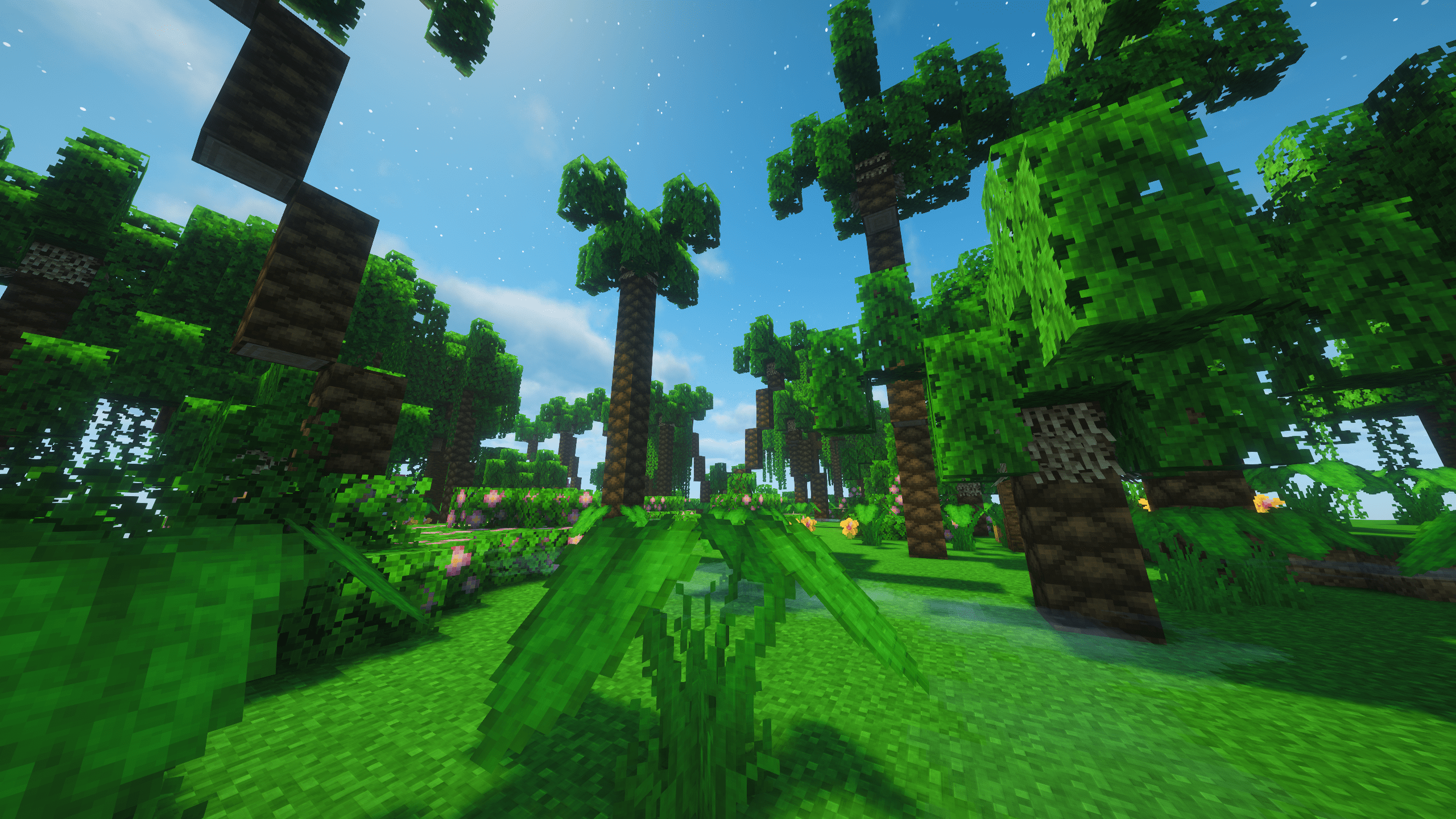 Tropics