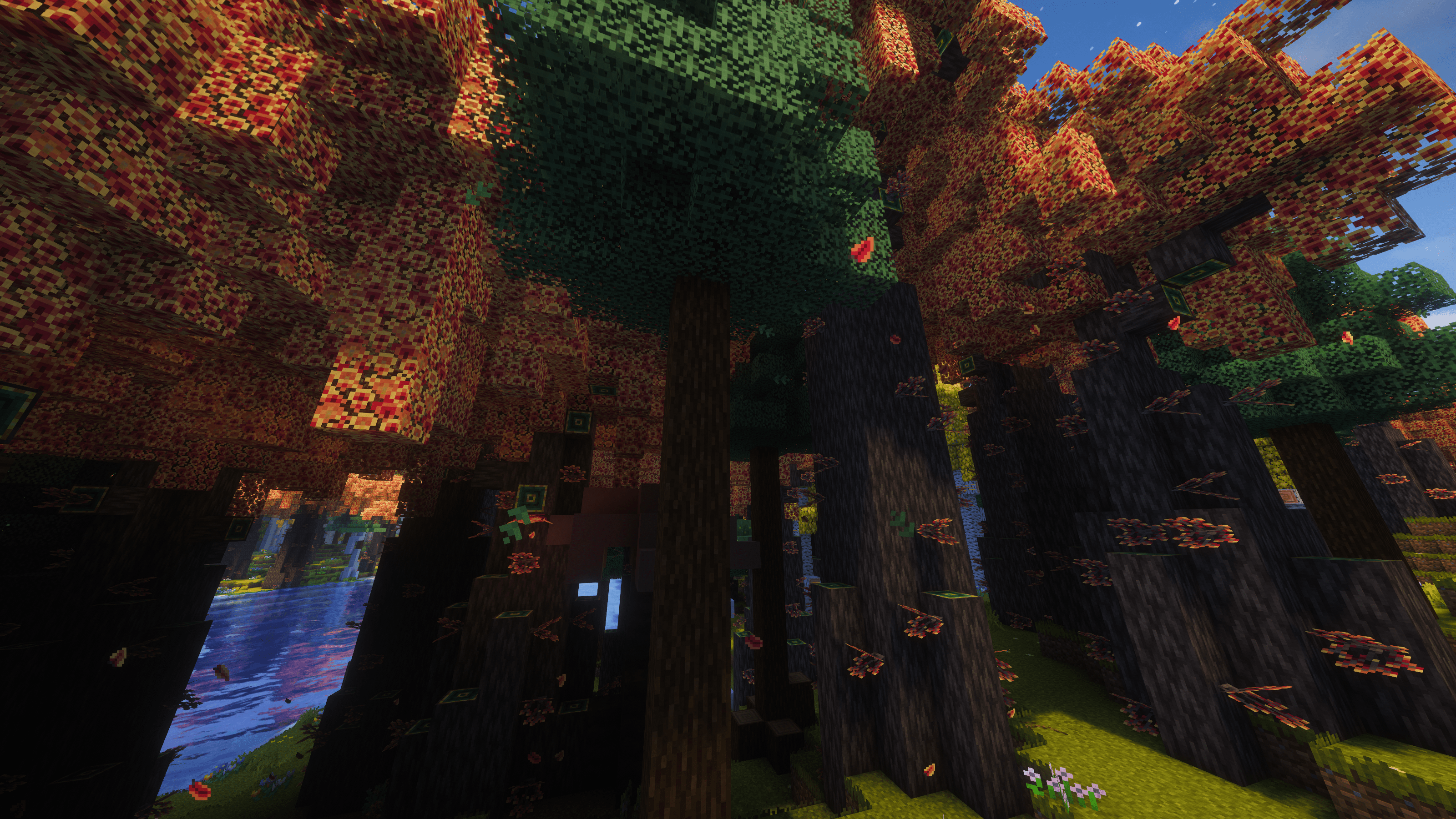 Weeping Witch Forest