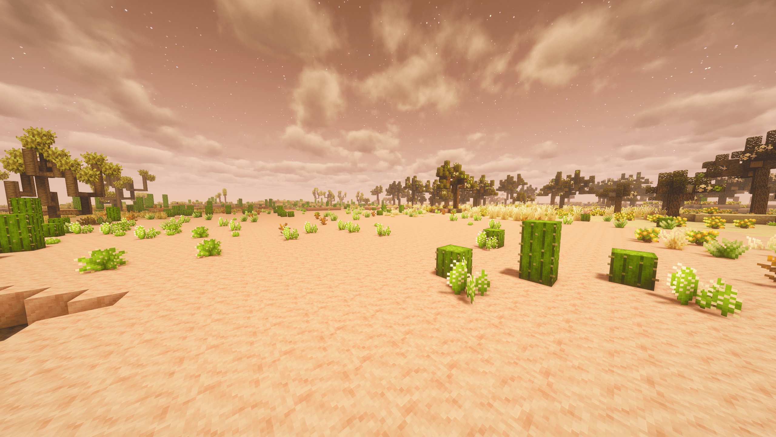 Windswept Desert