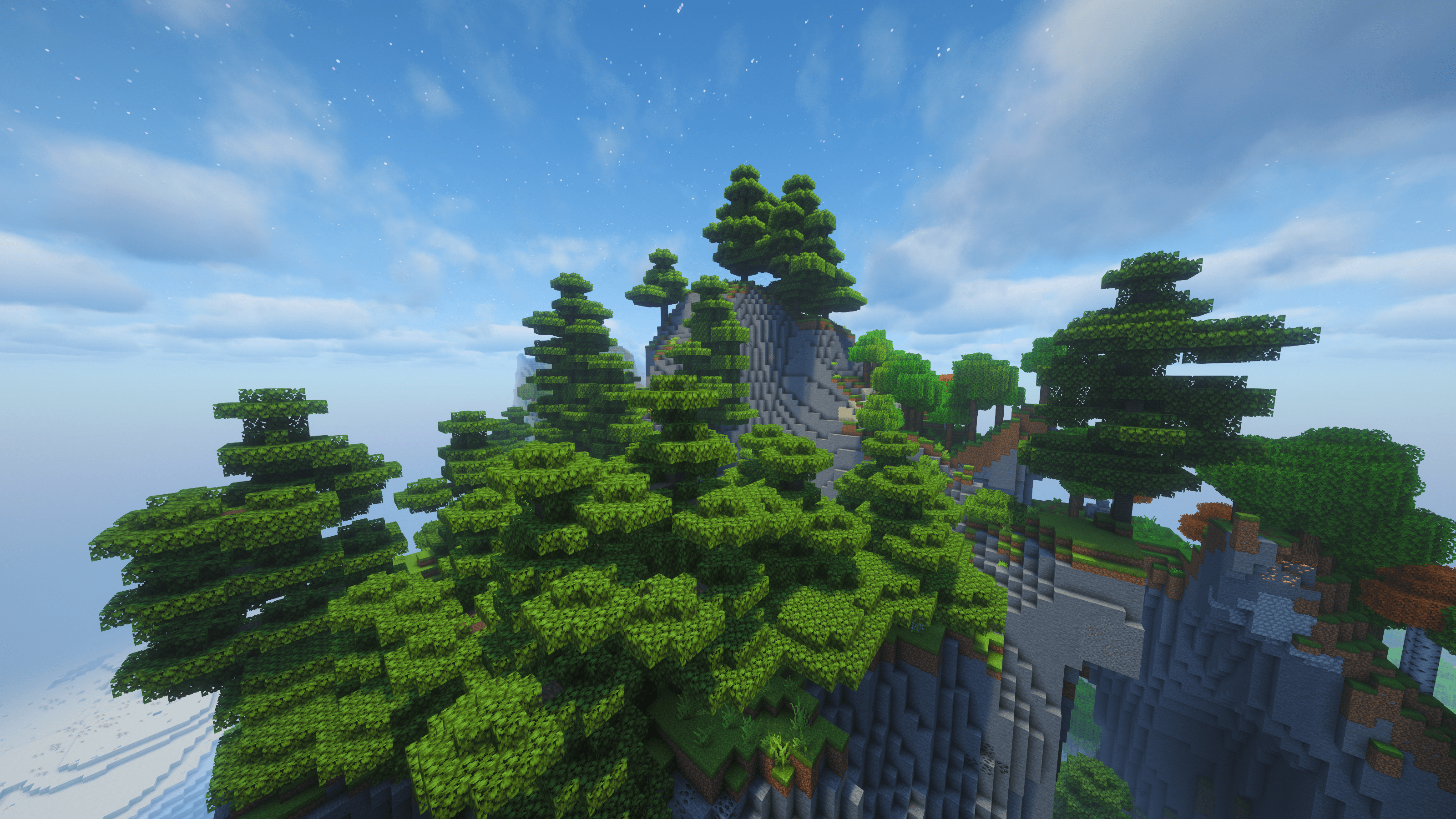 Windswept Sugi Forest