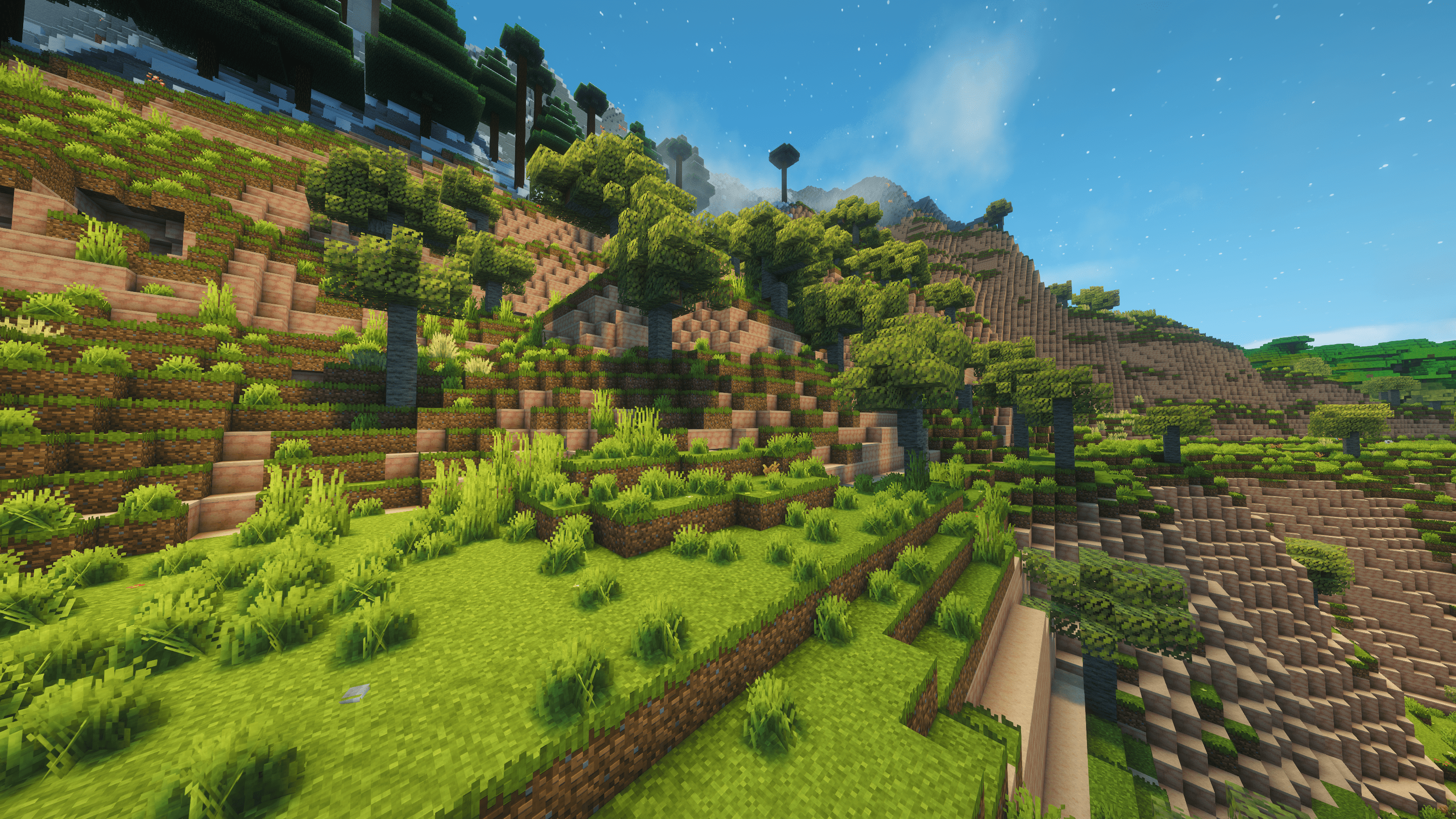 Wooded Drylands