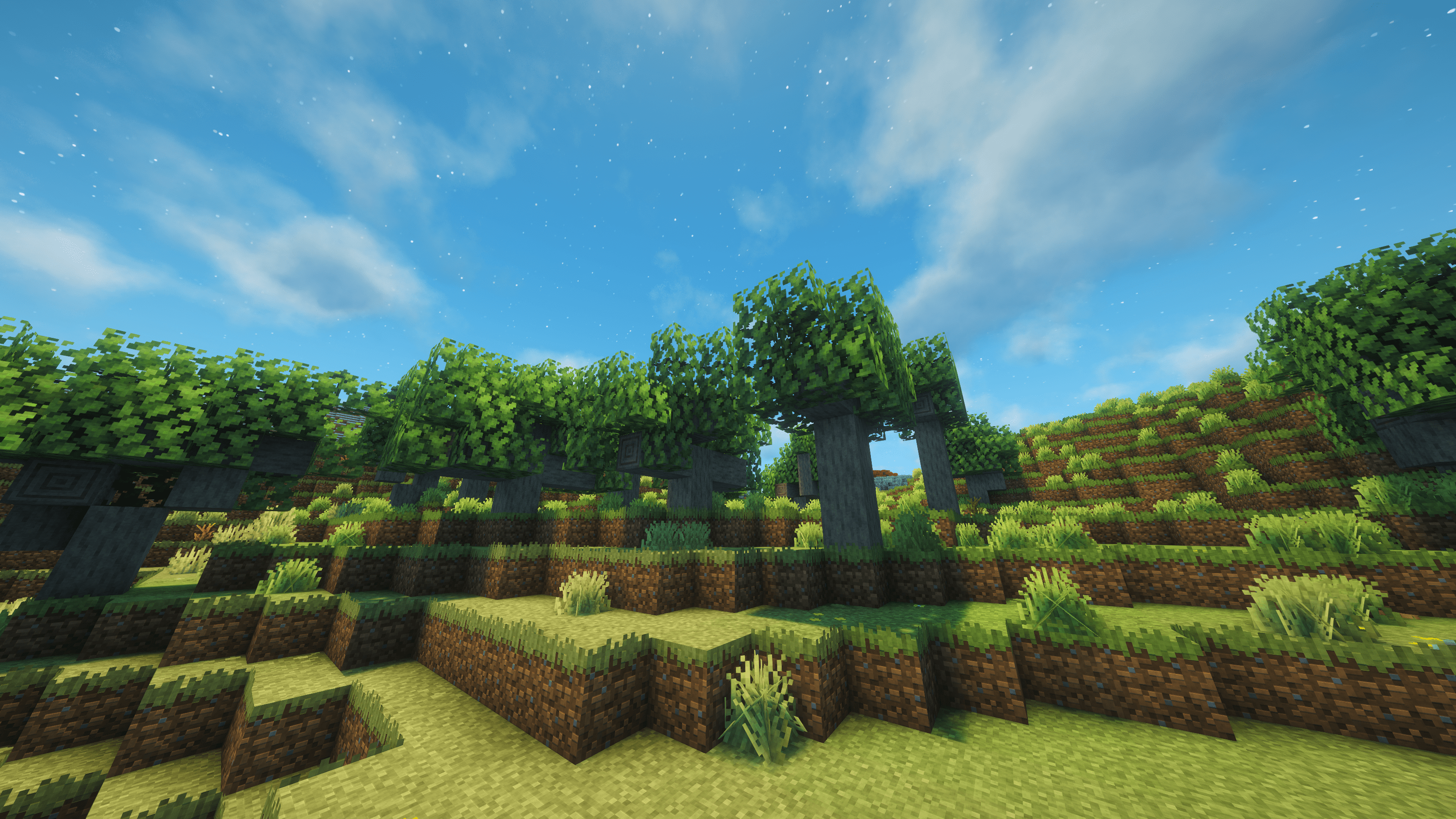 Woody Highlands